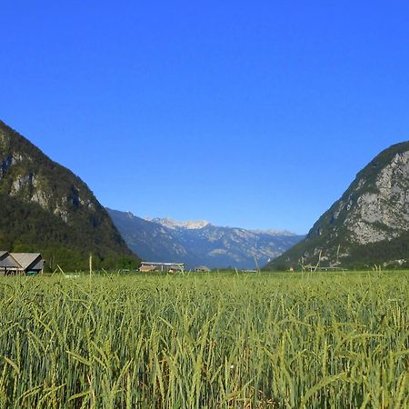 Ferienwohnung V Objemu Gora Bohinj Exterior foto