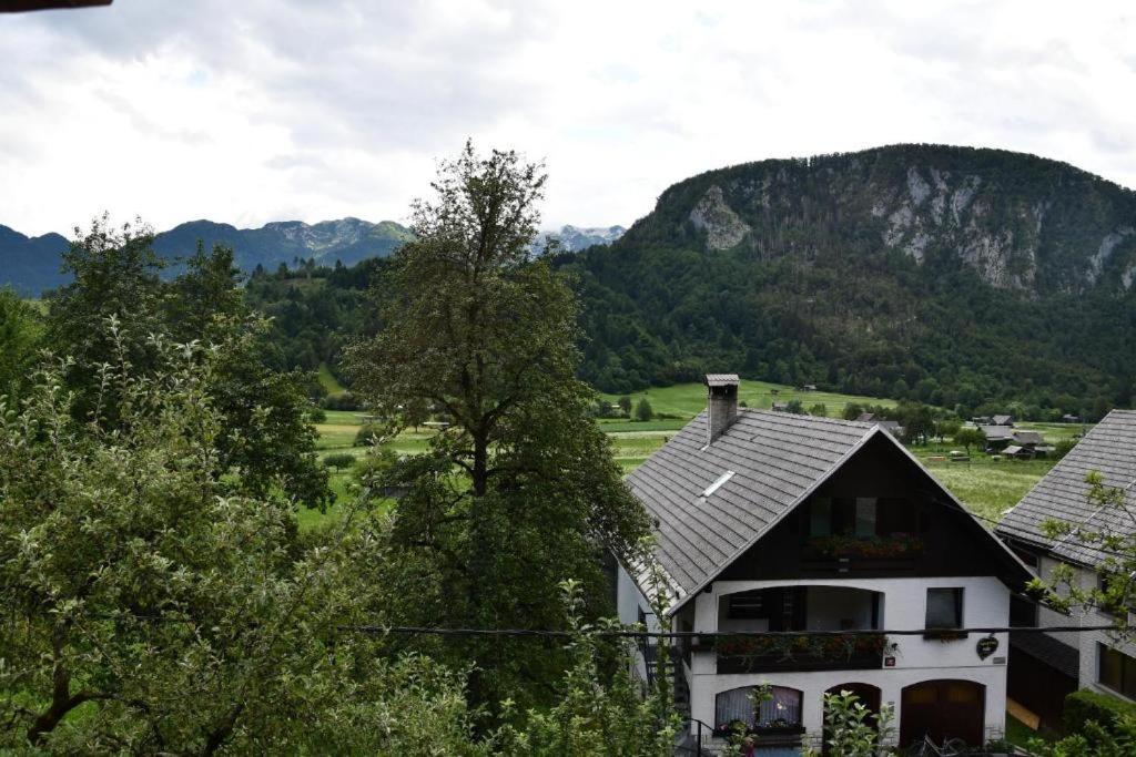 Ferienwohnung V Objemu Gora Bohinj Exterior foto