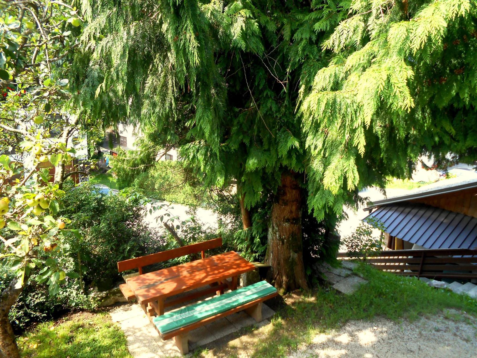 Ferienwohnung V Objemu Gora Bohinj Exterior foto
