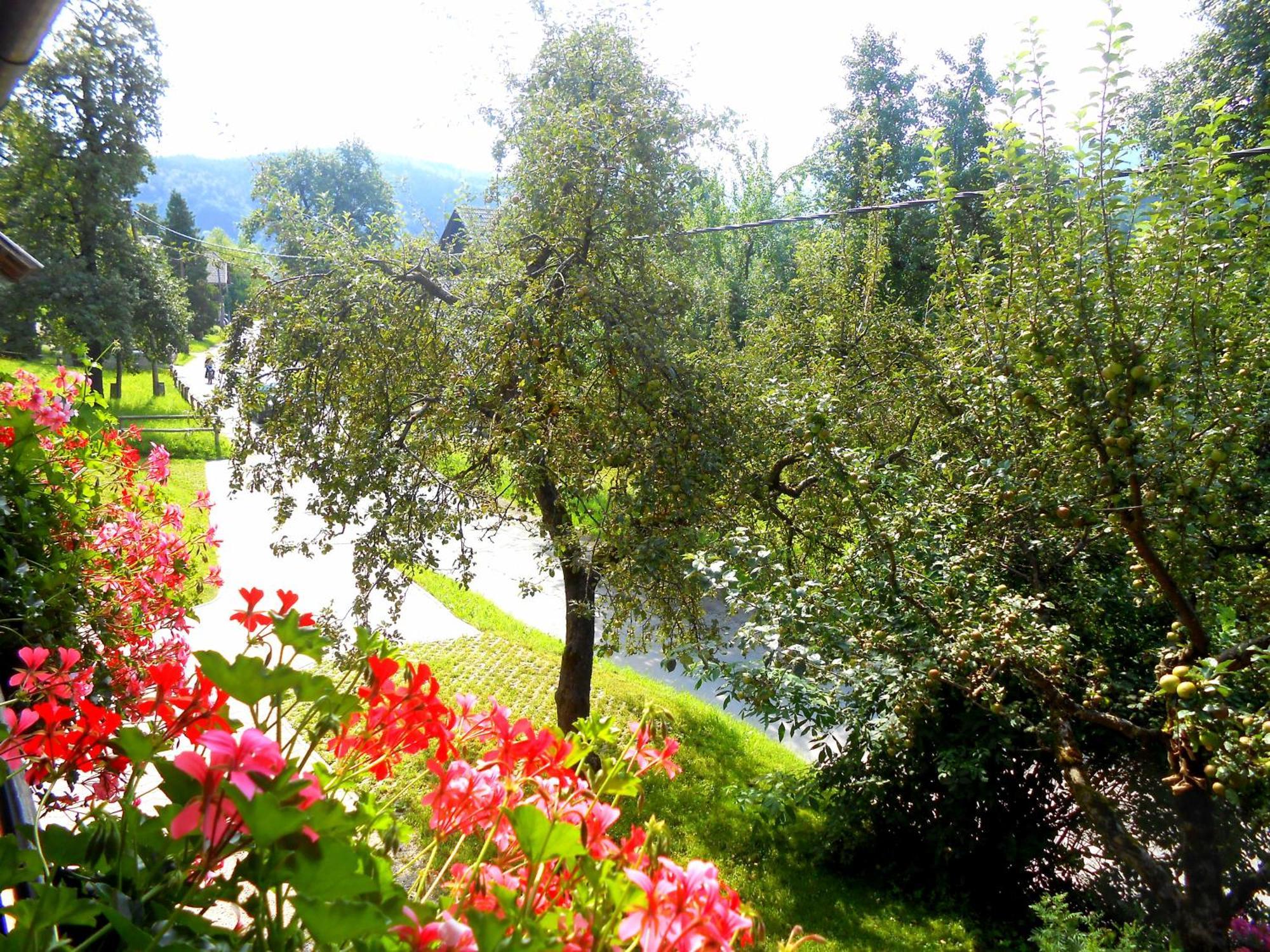 Ferienwohnung V Objemu Gora Bohinj Exterior foto